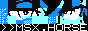 msx.horse button